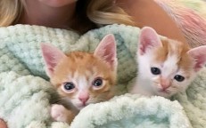 These two siblings are very different from other cats, but since being saved, they are living life to the fullest.