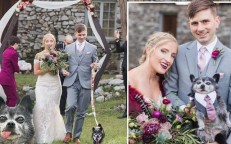 Ricky, the dog who wore his owners' wedding and engagement rings, has gained international attention.