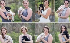 The bride and her bridesmaids exchanged flower bouquets for pups in need of a loving home at the wedding.
