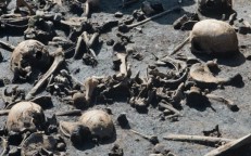 Europe’s Oldest Battlefield Yields Clues to Fighters’ Identities in Germany