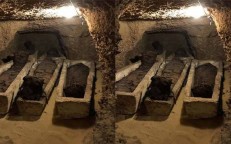 Ancient Egyptian Family Tomb Contains 50 Mummies of Men, Women, and Children