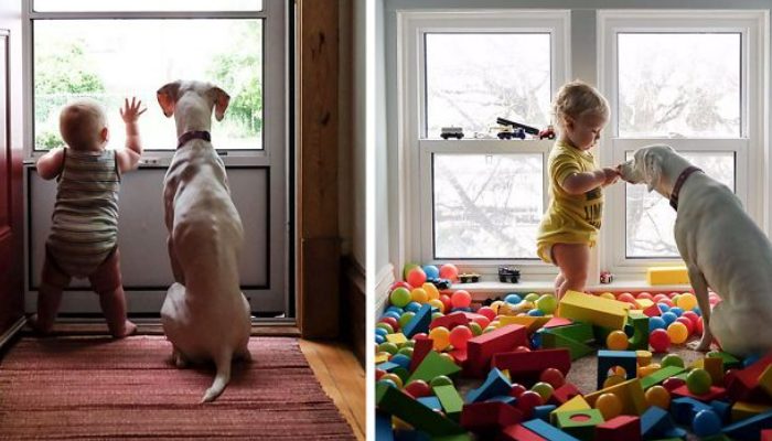 An cute 1-year-old companion brought solace and peace to a rescued, cruelly mistreated dog.