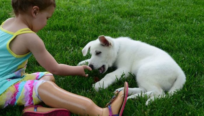 A dog without a paw and a little girl born with a disability make the best of friends.